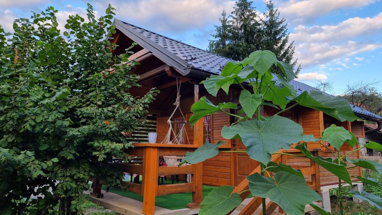 Holiday Home Sajra Kulen Vakuf Eksteriør billede